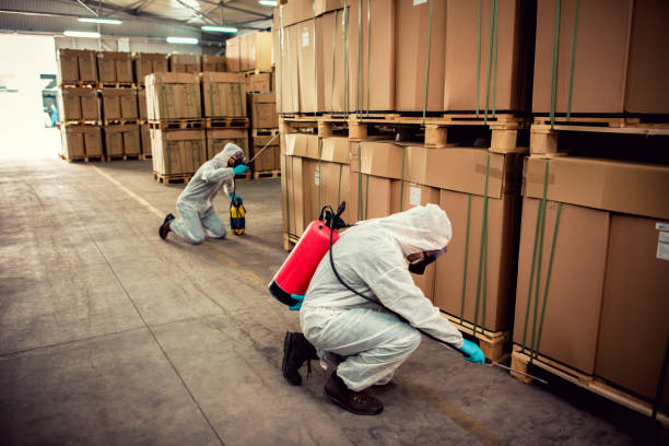 Best Best Pest Control Companies  in Port Morris, NJ