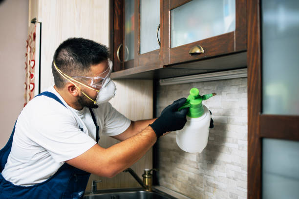 Best Cockroach Control Services  in Port Morris, NJ