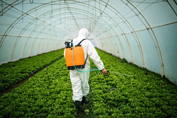 Best Mosquito Control Services  in Port Morris, NJ