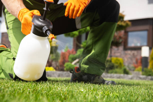 Professional Pest Control in Port Morris, NJ