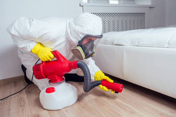 Best Termite Control Services  in Port Morris, NJ