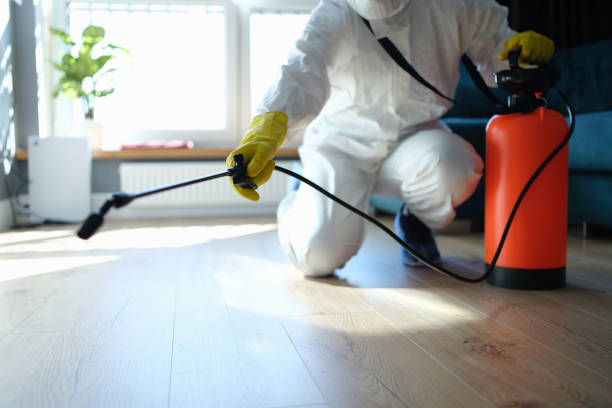 Best Flea Control Services  in Port Morris, NJ