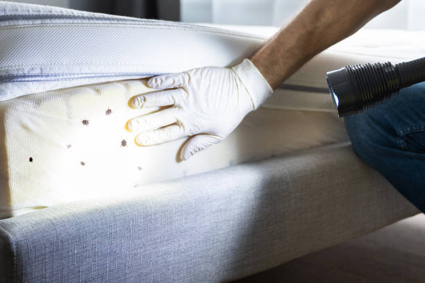 Best Insect Control  in Port Morris, NJ
