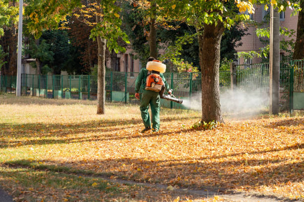 Best Bed Bug Extermination  in Port Morris, NJ