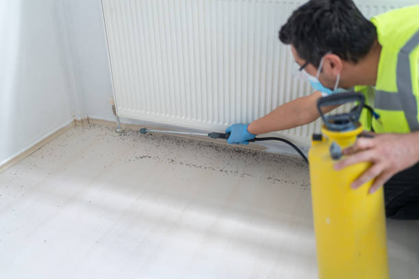 Best Local Pest Control Services  in Port Morris, NJ